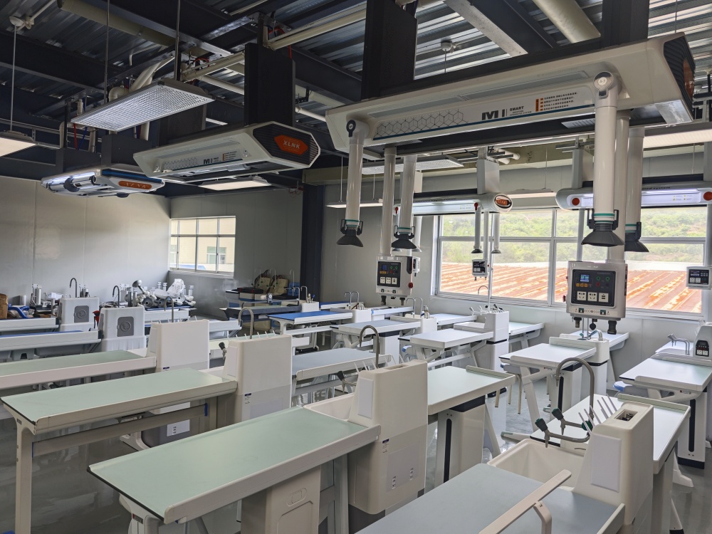 專業(yè)定制，品質(zhì)保證：量身打造最適合您的理化生智能吊裝實(shí)驗(yàn)室